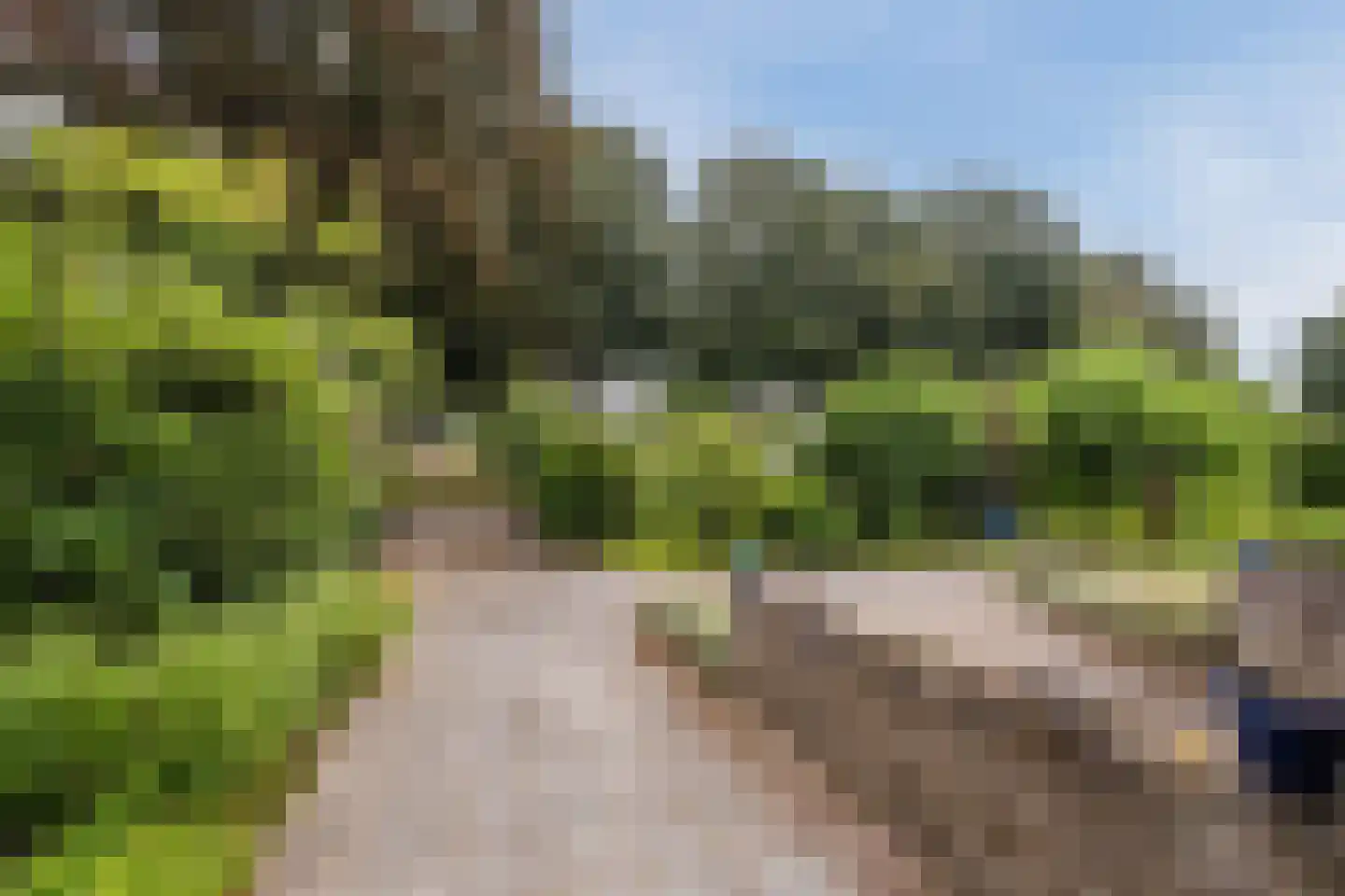 Dreef 26 Eersel thumbnail 9