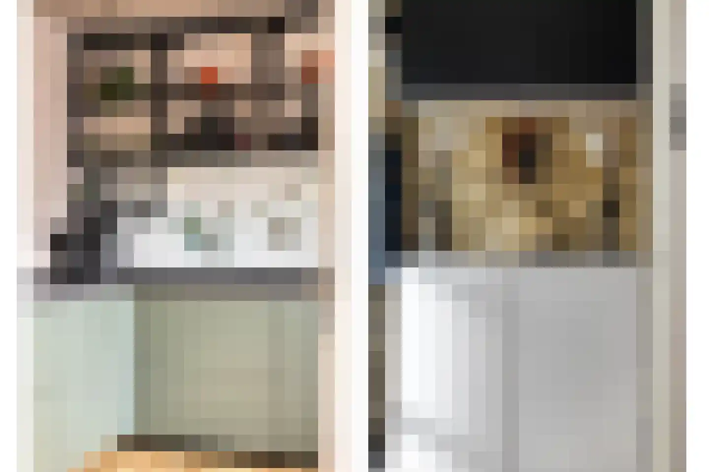 Dreef 26 Hendrik-Ido-Ambacht thumbnail 12