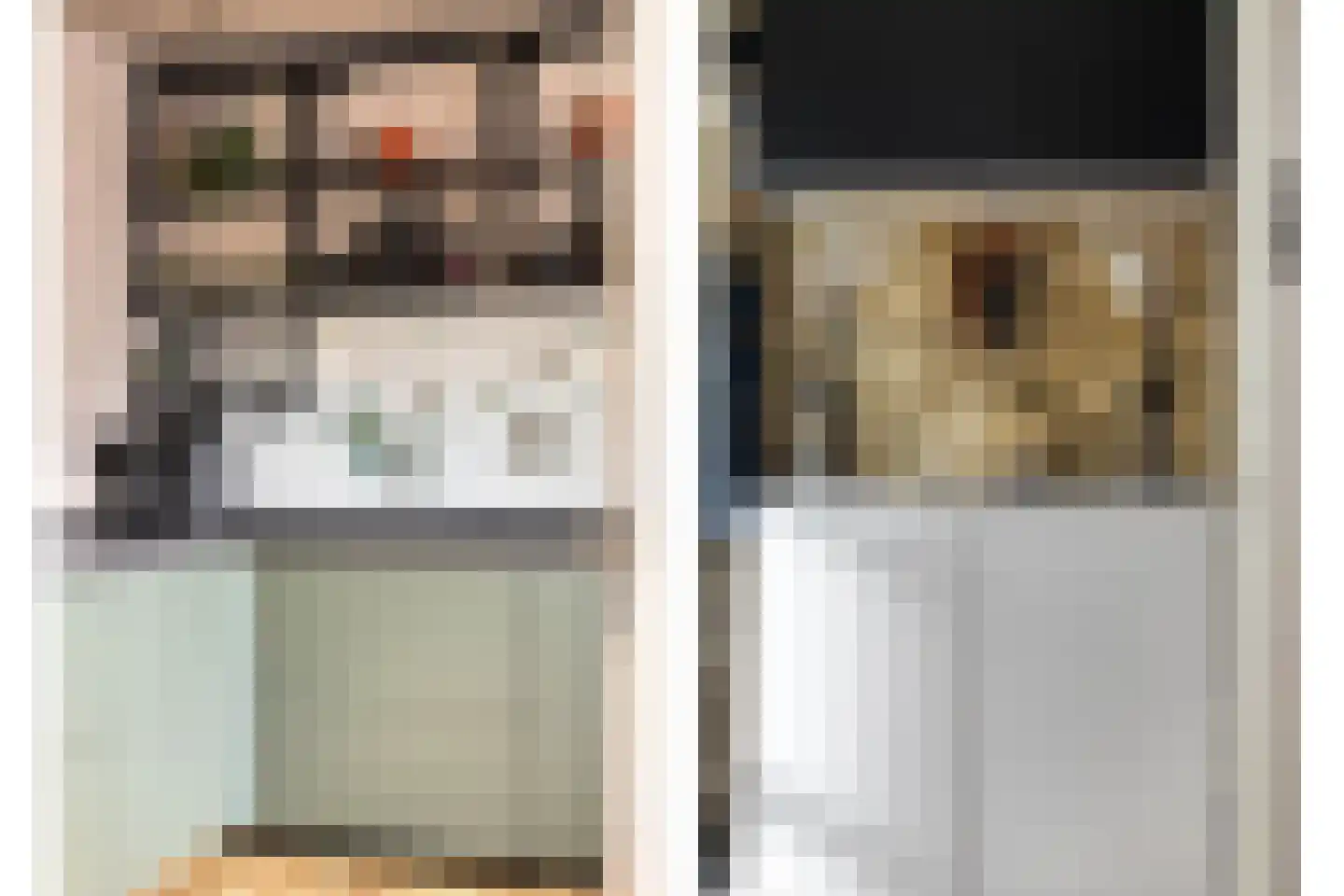 Dreef 26 Hendrik-Ido-Ambacht thumbnail 13