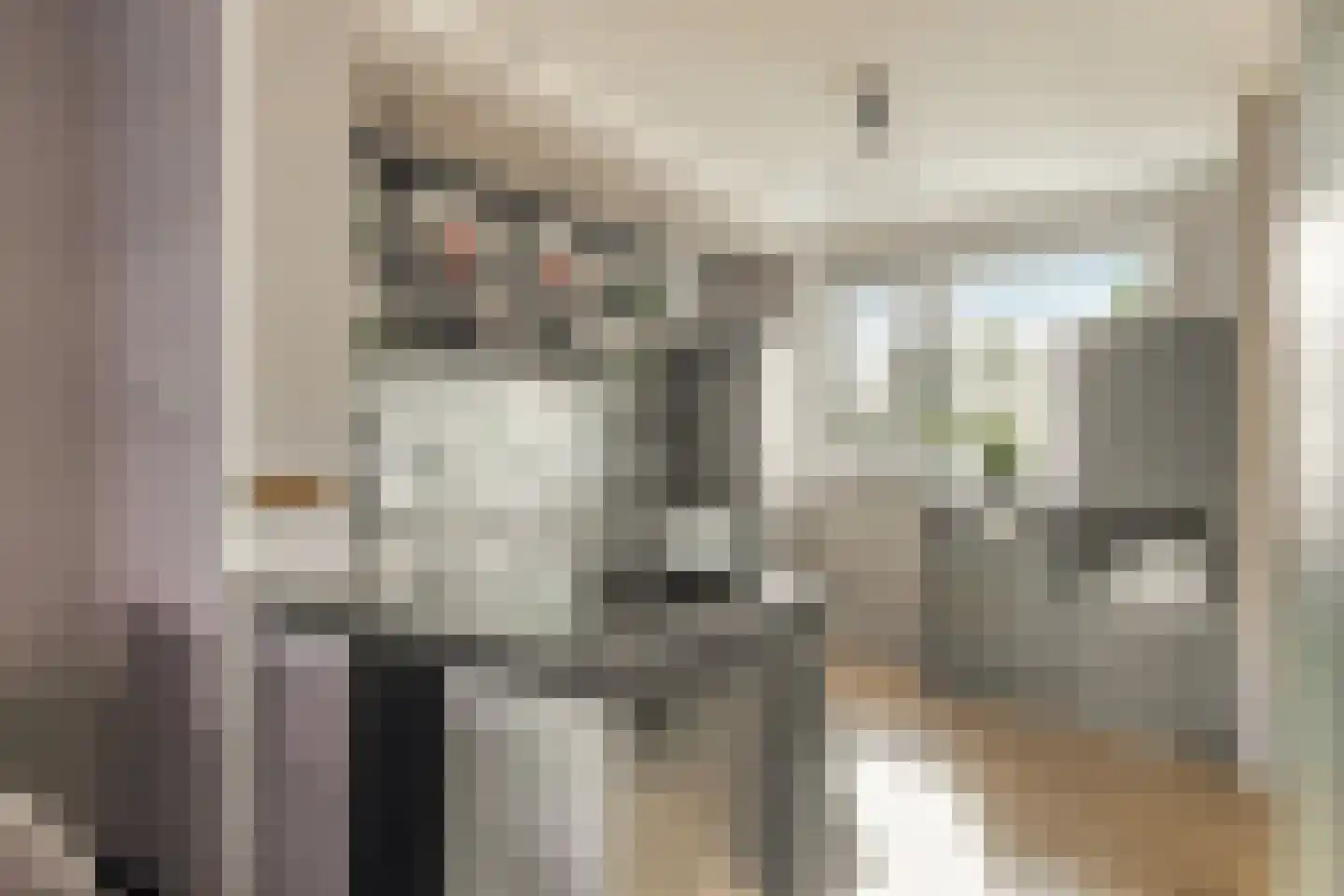 Dreef 26 Hendrik-Ido-Ambacht thumbnail 13
