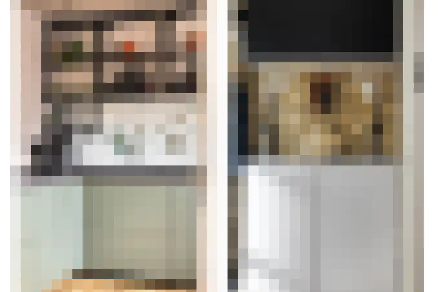 Dreef 26 Hendrik-Ido-Ambacht thumbnail 14