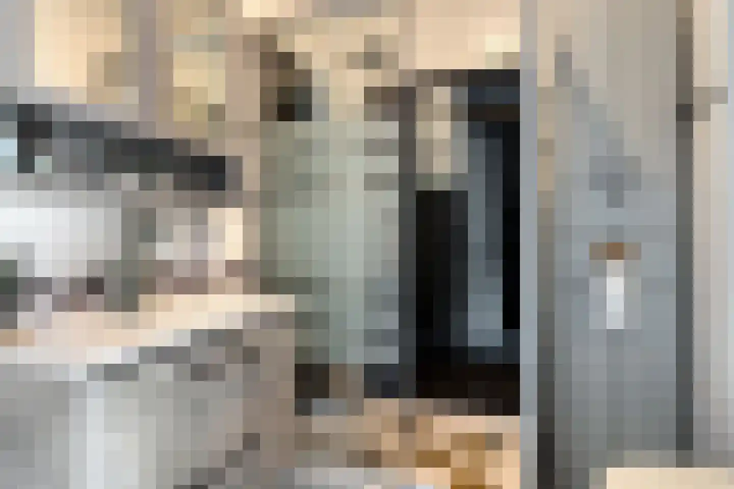 Dreef 26 Hendrik-Ido-Ambacht thumbnail 19