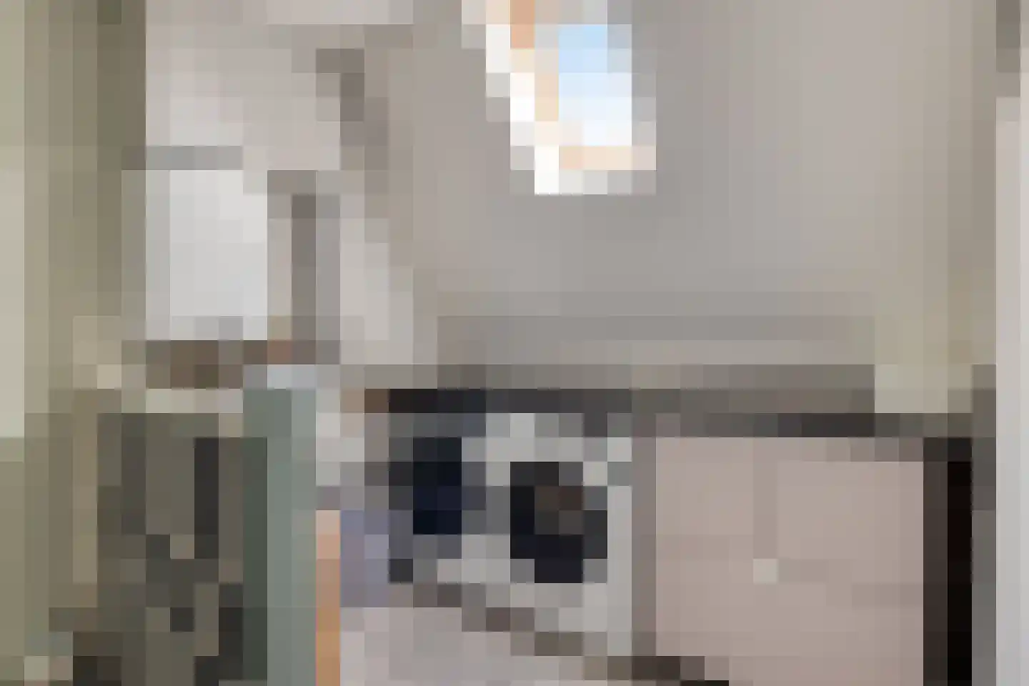 Dreef 26 Hendrik-Ido-Ambacht thumbnail 23