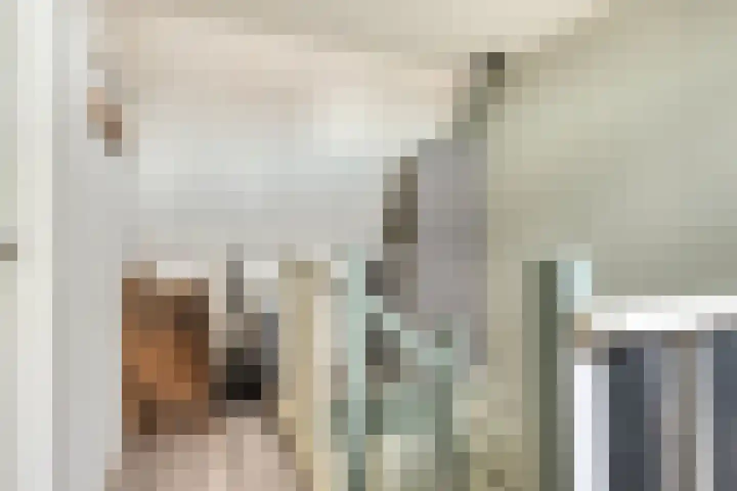 Dreef 26 Hendrik-Ido-Ambacht thumbnail 24