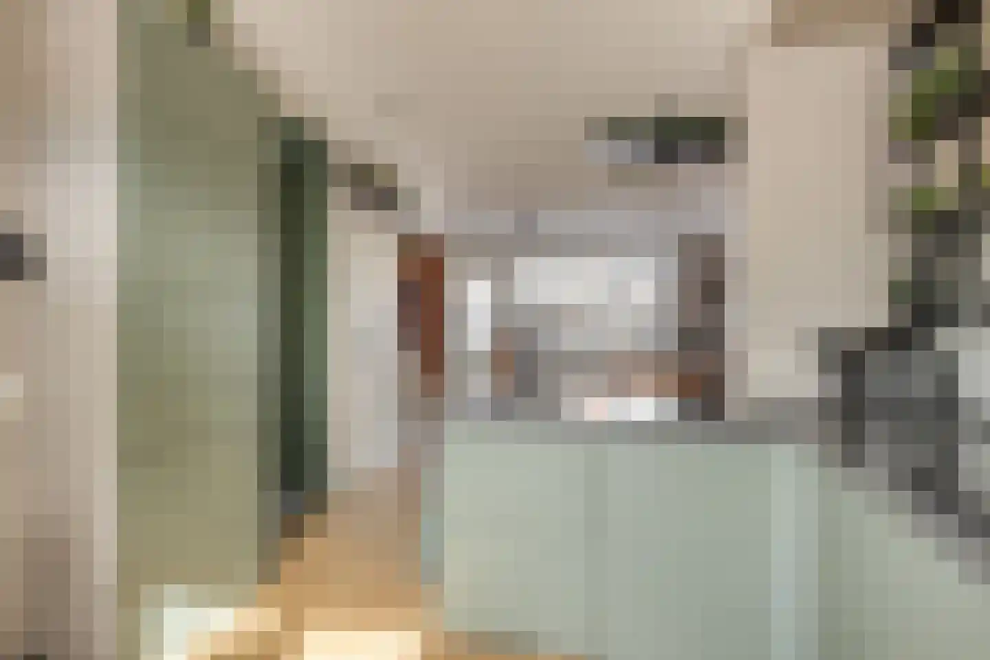 Dreef 26 Hendrik-Ido-Ambacht thumbnail 4