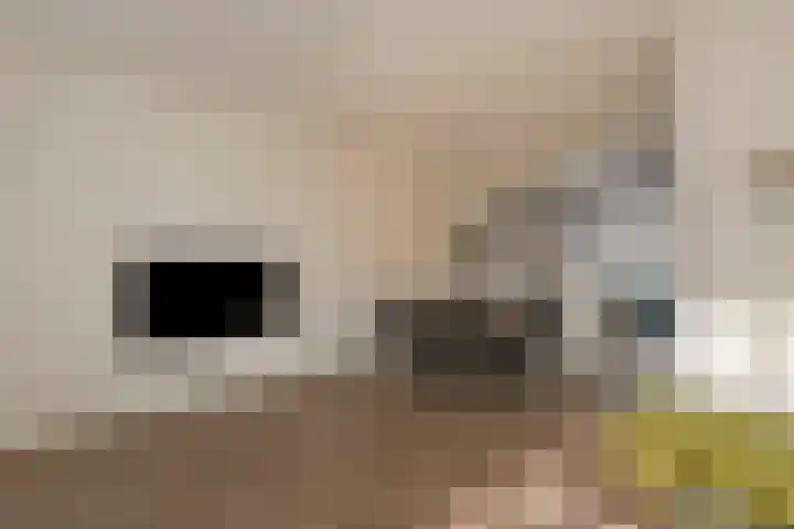 Dreef 26 Heusden thumbnail 14