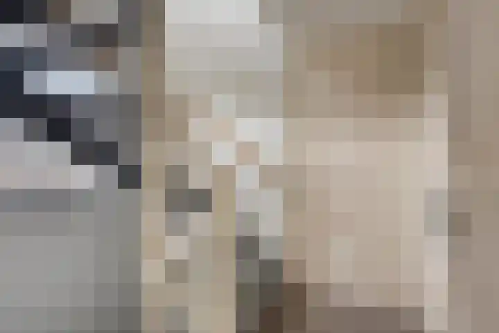 Dreef 27 Heusden thumbnail 14