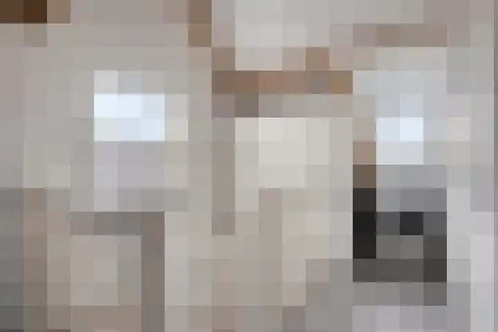 Dreef 27 Heusden thumbnail 21