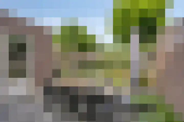 Dreef 27 Heusden thumbnail 24