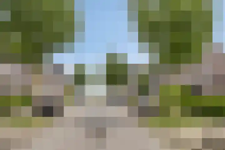 Dreef 27 Heusden thumbnail 28