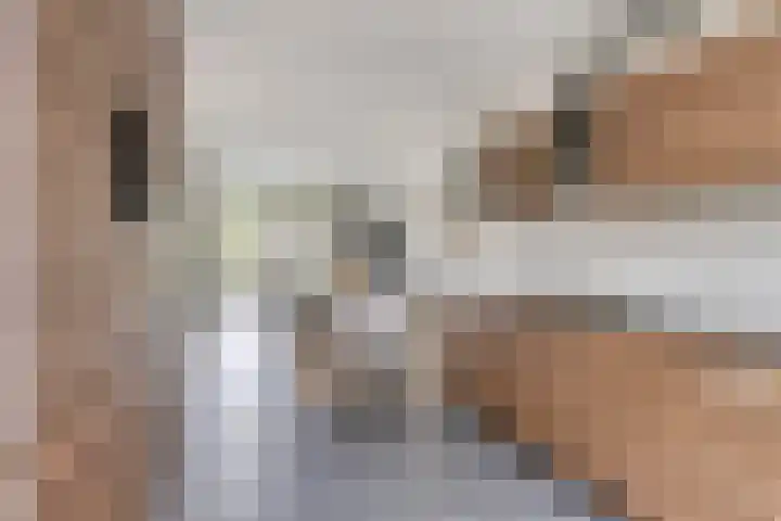 Dreef 27 Heusden thumbnail 9