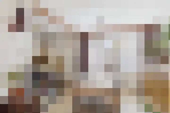 Dreef 29 Lamswaarde thumbnail 10