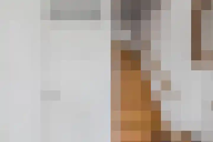 Dreef 29 Lamswaarde thumbnail 13