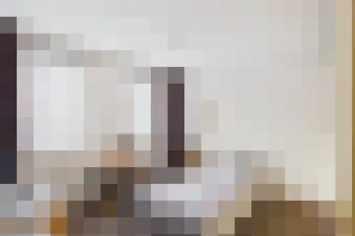 Dreef 29 Lamswaarde thumbnail 17