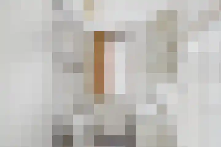 Dreef 29 Lamswaarde thumbnail 18