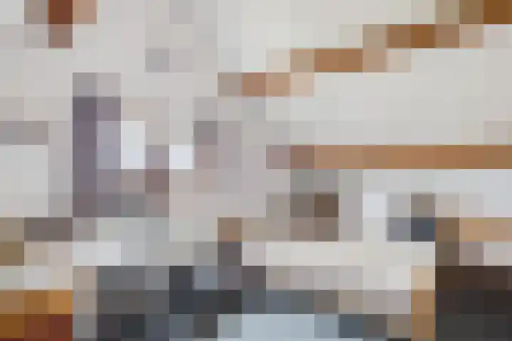 Dreef 29 Lamswaarde thumbnail 19