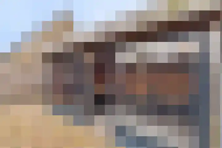 Dreef 29 Lamswaarde thumbnail 20