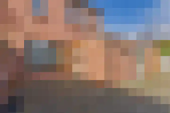 Dreef 29 Lamswaarde thumbnail 21