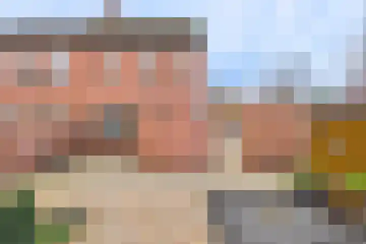 Dreef 29 Lamswaarde thumbnail 22