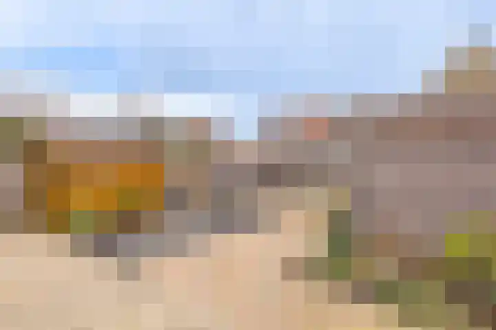 Dreef 29 Lamswaarde thumbnail 23