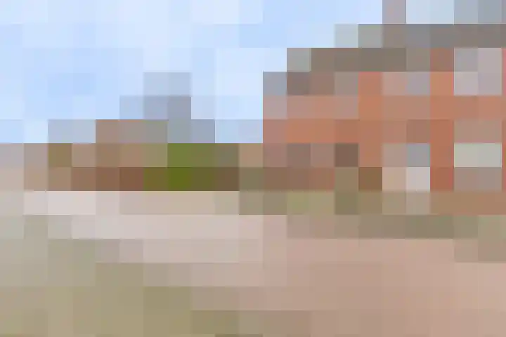 Dreef 29 Lamswaarde thumbnail 26