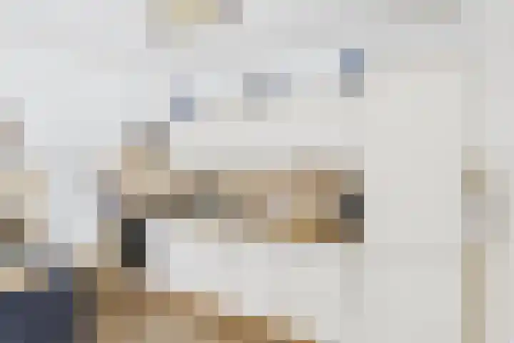 Dreef 29 Lamswaarde thumbnail 4