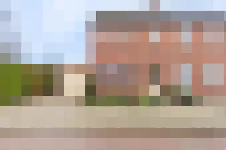 Dreef 29 Lamswaarde thumbnail 6