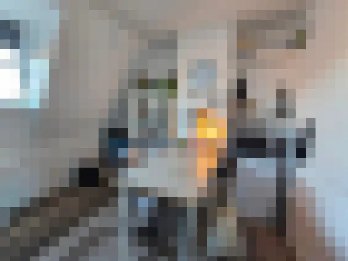 Dreef 3 A3 Breda foto 2
