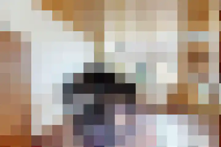 Dreef 3 Kockengen thumbnail 15