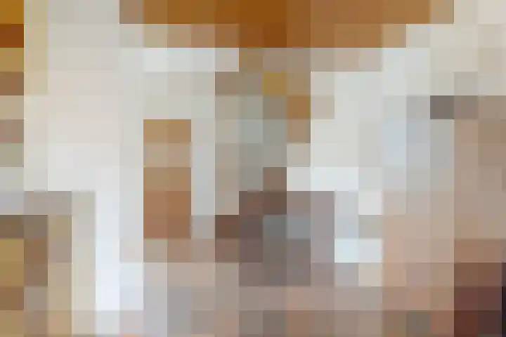 Dreef 3 Kockengen thumbnail 16