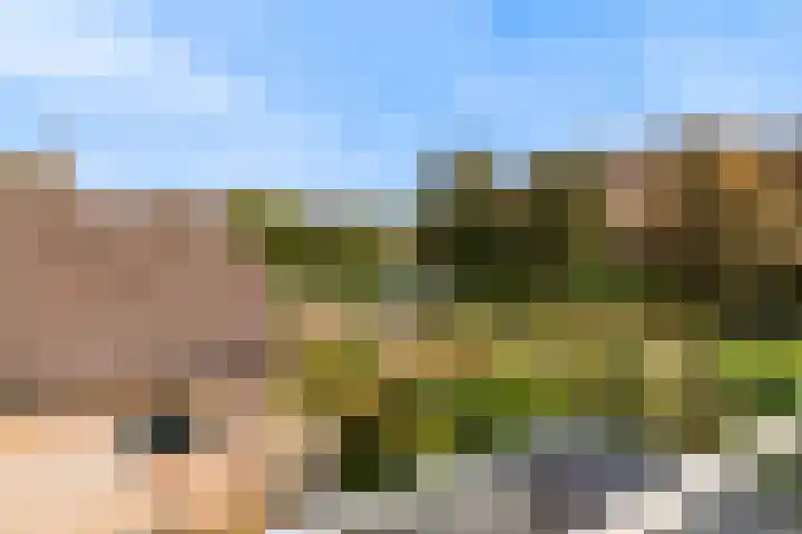 Dreef 3 Kockengen thumbnail 26