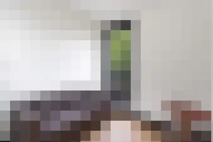 Dreef 3 Kockengen thumbnail 38