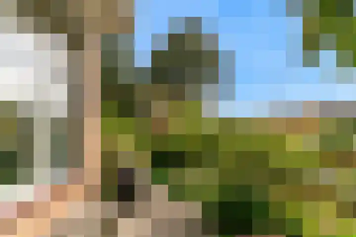 Dreef 3 Kockengen thumbnail 42