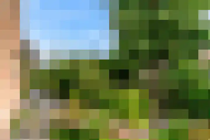 Dreef 3 Kockengen thumbnail 43