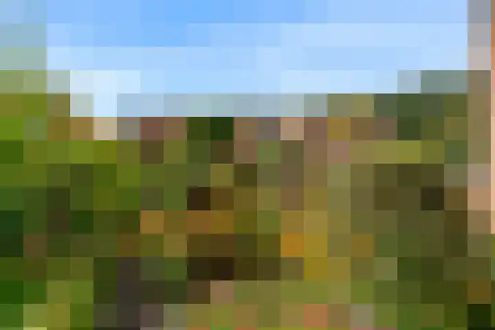 Dreef 3 Kockengen thumbnail 46