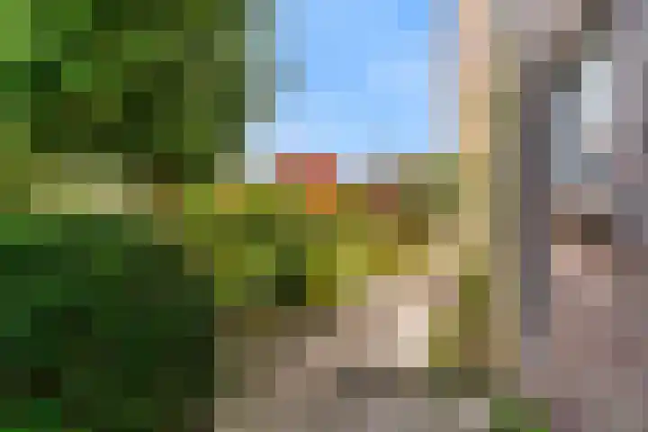 Dreef 3 Kockengen thumbnail 47