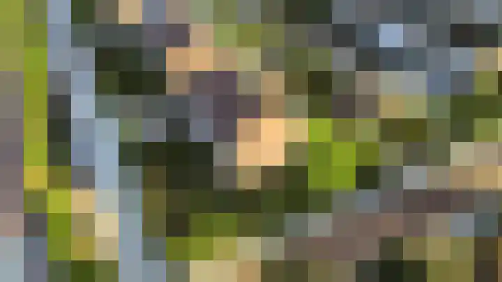 Dreef 3 Kockengen thumbnail 5