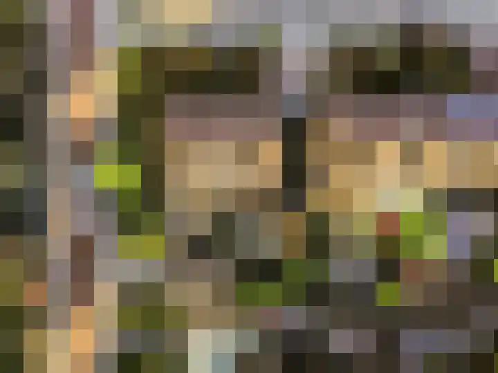 Dreef 3 Kockengen thumbnail 6