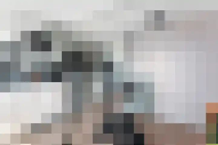 Dreef 3 Streefkerk thumbnail 27