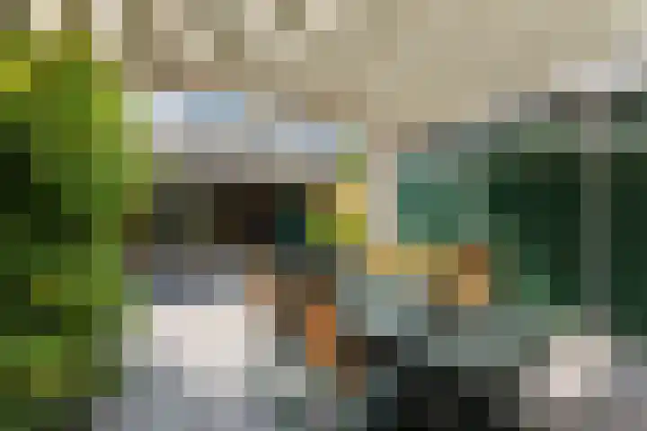 Dreef 3 Streefkerk thumbnail 31