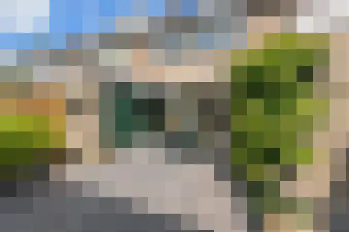 Dreef 3 Streefkerk thumbnail 34