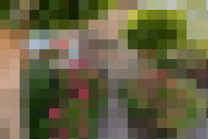 Dreef 3 Streefkerk thumbnail 37