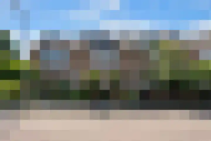 Dreef 3 Streefkerk thumbnail 50