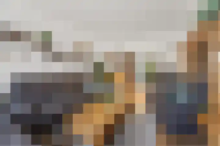 Dreef 3 Streefkerk thumbnail 7