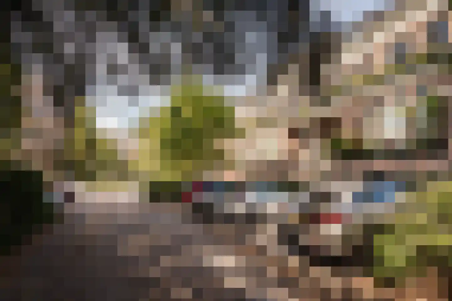 Dreef 30 C Haarlem thumbnail 30