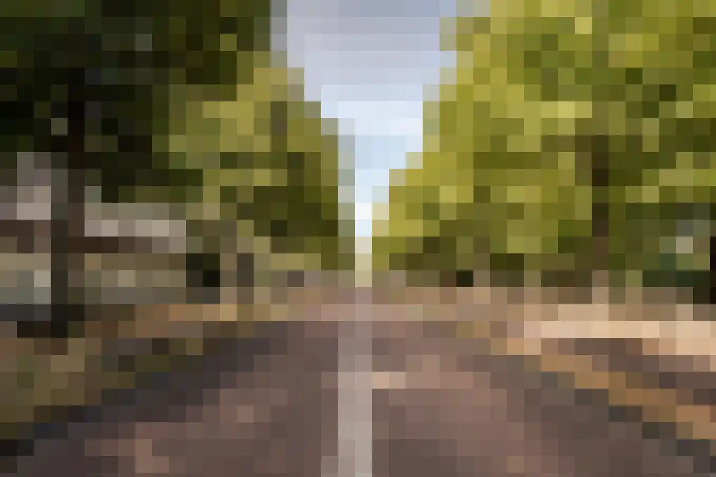 Dreef 30 C Haarlem thumbnail 33