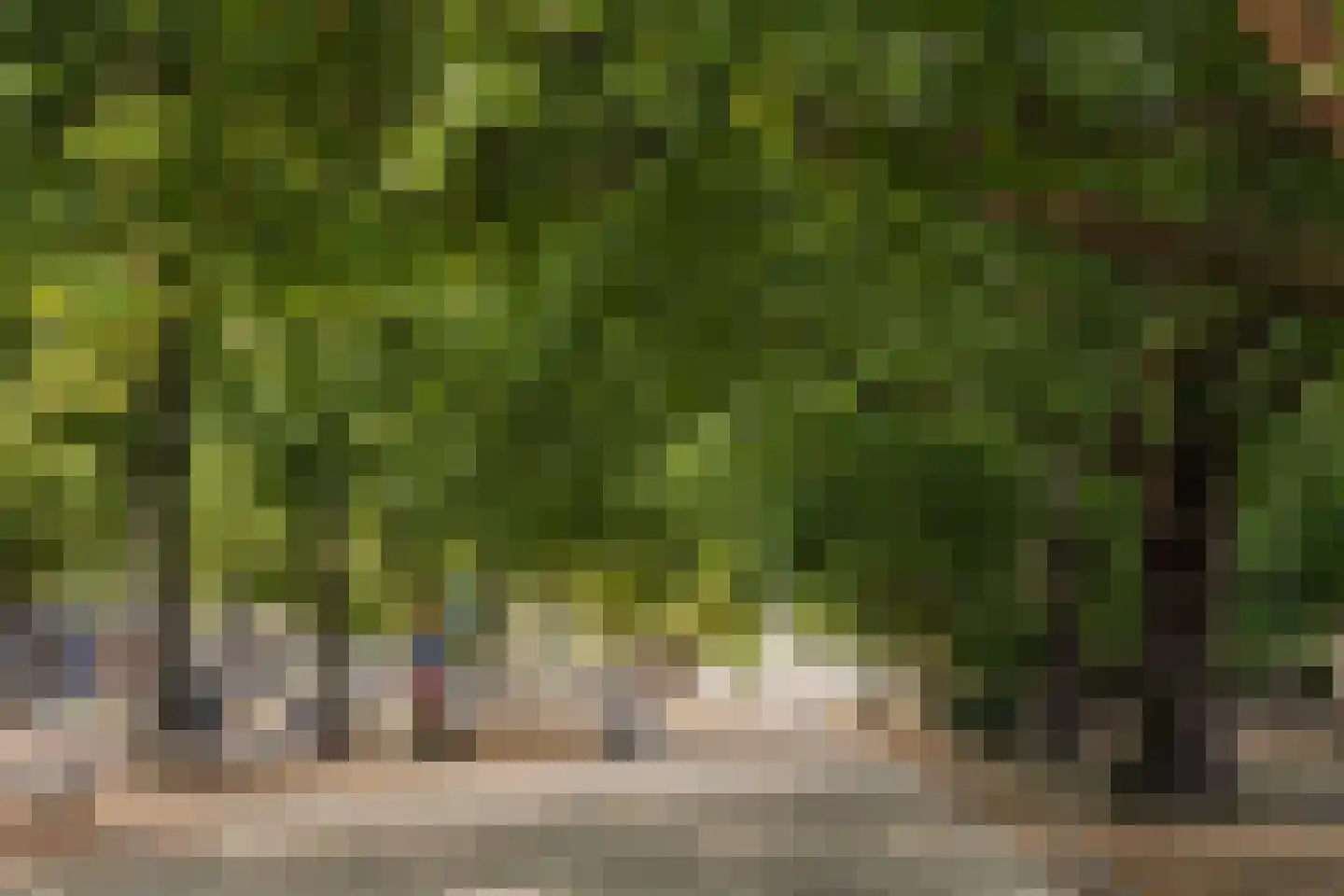 Dreef 30 C Haarlem thumbnail 35