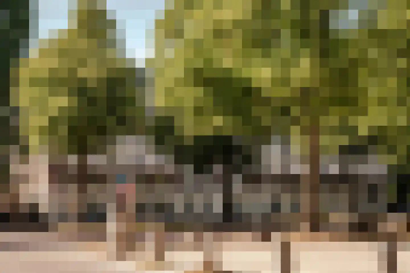 Dreef 30 C Haarlem thumbnail 36