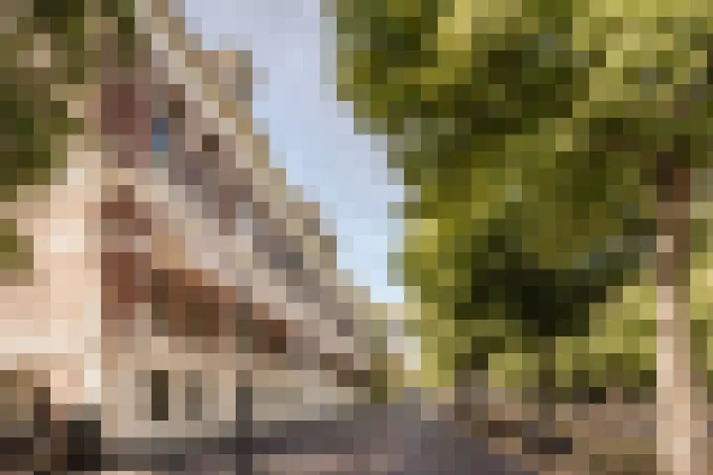Dreef 30 C Haarlem thumbnail 37