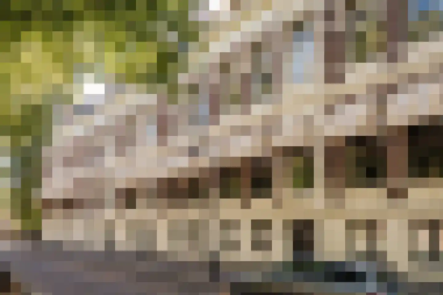 Dreef 30 C Haarlem thumbnail 38